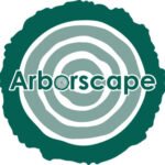 Professional Tree surgeons Workington | Arborscape UK
