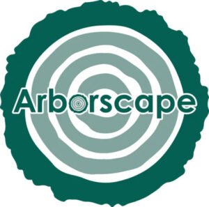 Professional Tree surgeons Workington | Arborscape UK