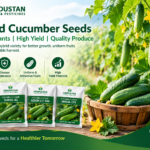 Hybrid Seeds for Better Crop Growth and Modern Vegetable Farming