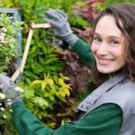 Trees by Forrest: Trusted Tree Service Plymouth MN for Healthier Outdoor Spaces