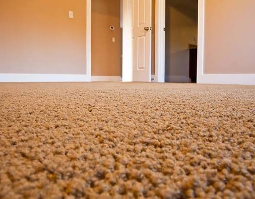 Your Flooring Guide
