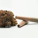 Buy Weed Online meant for Superior, Benefits, together with Prepared Opportunities