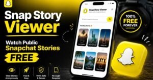 Snapchat Story Viewer