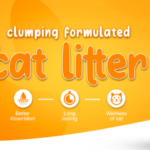 How JASON Natural Cat Litter Keeps Homes in Karachi, Lahore and Islamabad Fresh