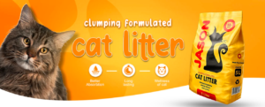 How JASON Natural Cat Litter Keeps Homes in Karachi, Lahore and Islamabad Fresh