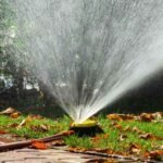 Transformed Landscaping Co.: Modern Landscape Design in Austin TX for Beautiful Outdoor Spaces