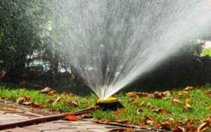 Transformed Landscaping Co.: Modern Landscape Design in Austin TX for Beautiful Outdoor Spaces