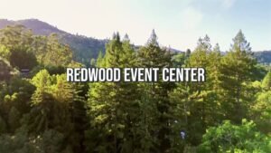 How Corporate Events Build Stronger Teams to Drive Growth