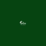 Salas Outdoors