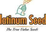 Hybrid Vegetable Seeds Online: A Guide to Better Crop Selection