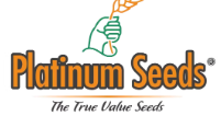 Hybrid Vegetable Seeds Online: A Guide to Better Crop Selection
