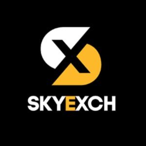 Sky Exchange ID: A Complete Guide to Access, Features, and Account Security