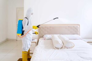 Bed Bug Treatment Queens NY: A Guide to Safe and Effective Control