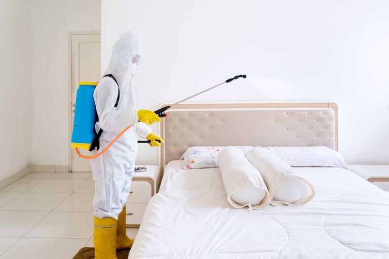 Bed Bug Treatment Queens NY: A Guide to Safe and Effective Control