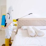Bed Bug Treatment Queens NY: Signs, Solutions, and Prevention